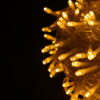 Img 6453